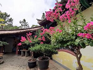 Kunming - Parc Cuihu - 11